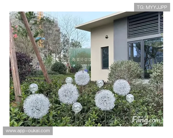 盛世官网网页版的最新动态，了解第一手消息与资讯