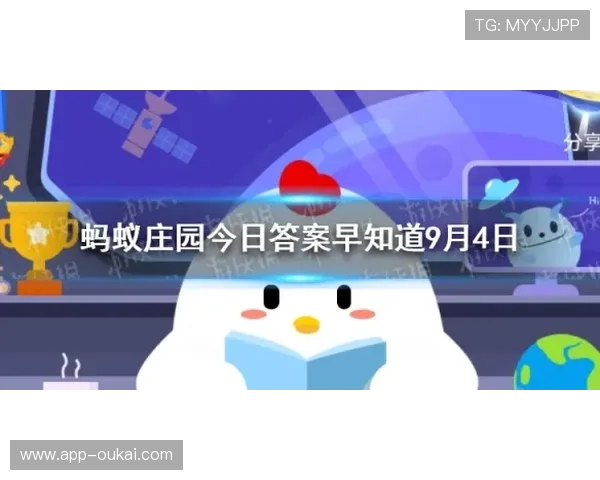 蓝鲸体育正规网址助你轻松获取体育信息与资讯