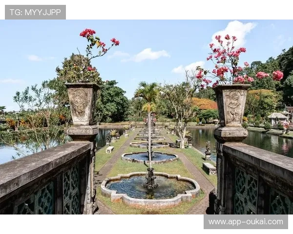 天空真人平台最新玩法介绍助你轻松掌握高收益技巧