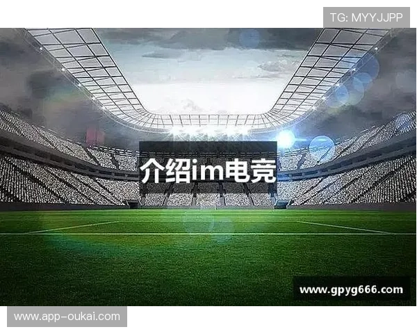 IM电竞集团行业影响力：在推动电竞产业标准化与国际化中的作用